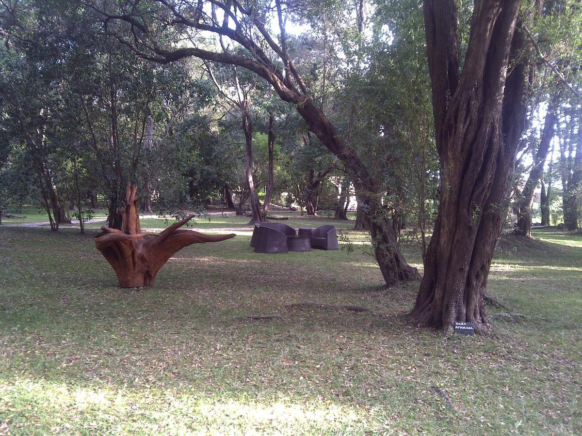 Mara River Camp Aitong Exterior photo